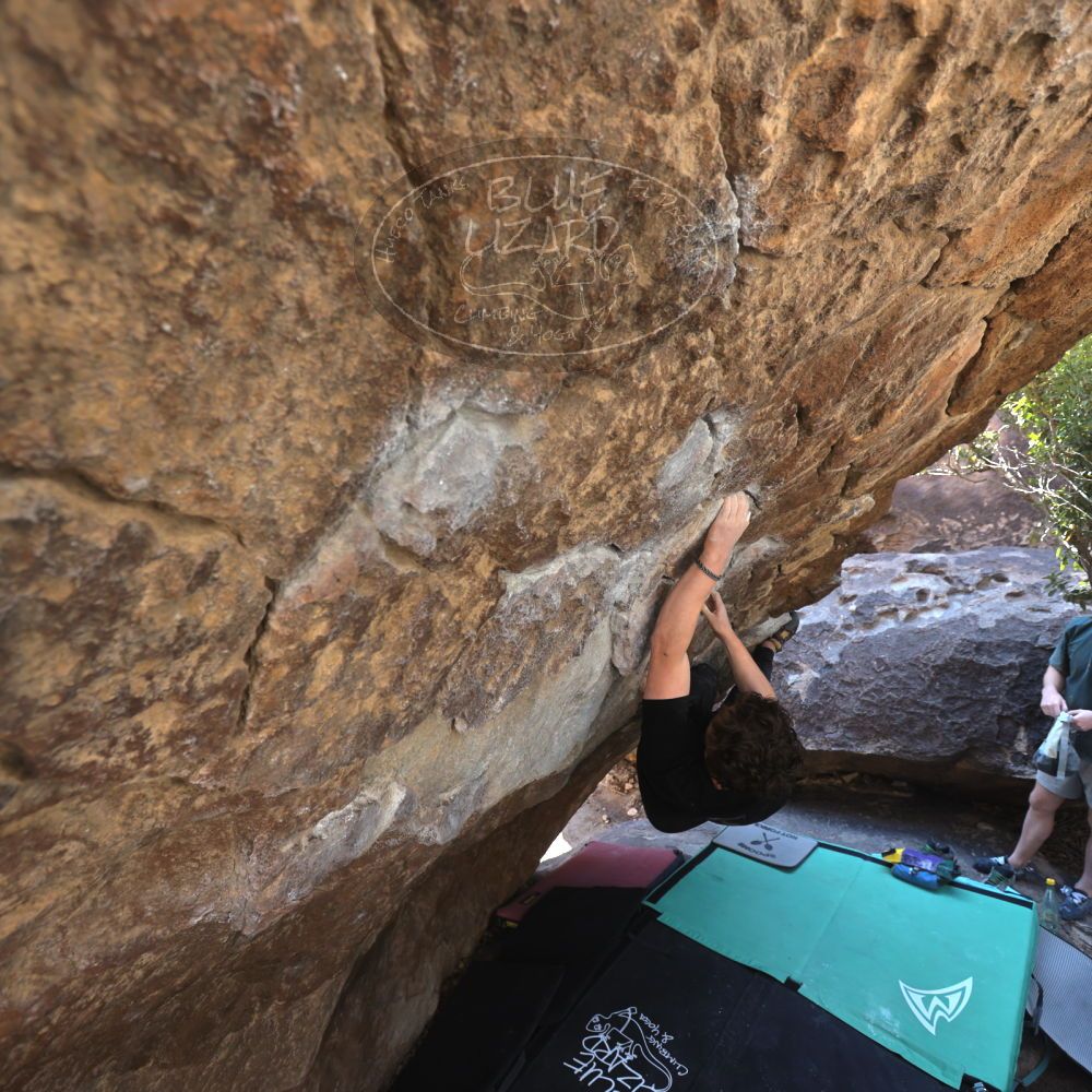 Filename: SRM_20240128_1147010.jpg
Aperture: f/4.0
Shutter Speed: 1/200
Body: Canon EOS R6
Lens: Canon EF 16-35mm f/2.8 L