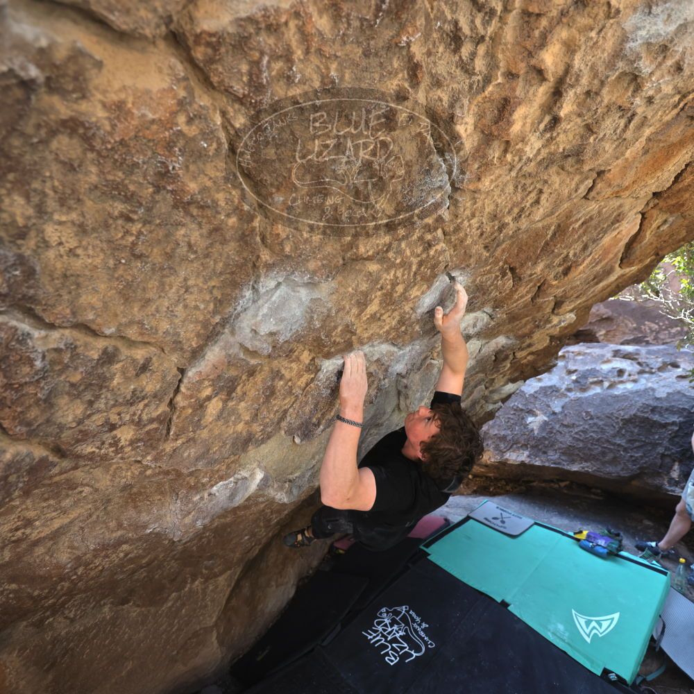 Filename: SRM_20240128_1147110.jpg
Aperture: f/4.0
Shutter Speed: 1/200
Body: Canon EOS R6
Lens: Canon EF 16-35mm f/2.8 L