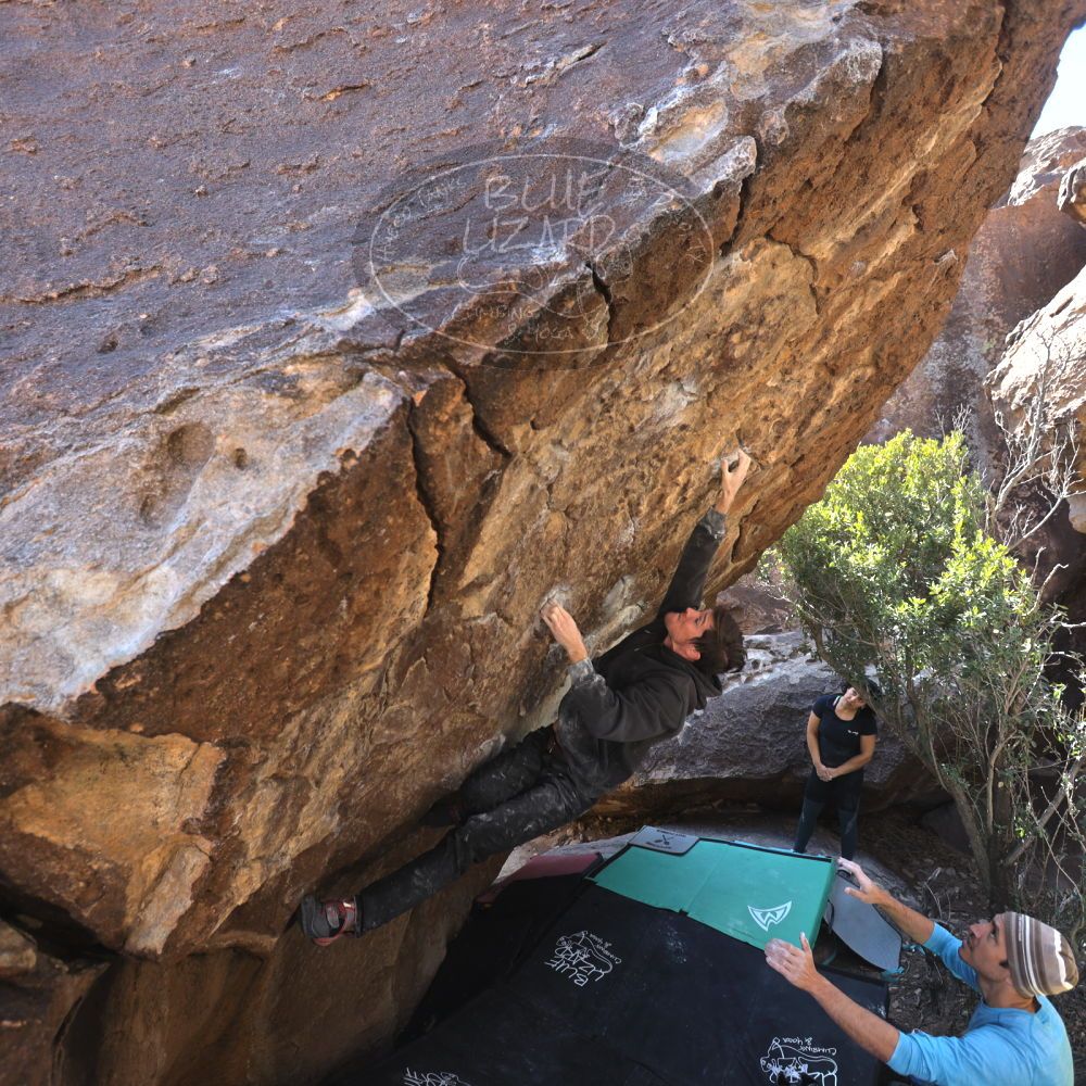 Filename: SRM_20240128_1201110.jpg
Aperture: f/4.0
Shutter Speed: 1/200
Body: Canon EOS R6
Lens: Canon EF 16-35mm f/2.8 L