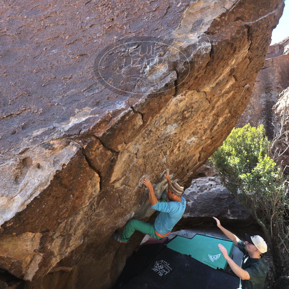 

Filename: SRM_20240128_1209540.jpg
Aperture: f/4.0
Shutter Speed: 1/200
Body: Canon EOS R6
Lens: Canon EF 16-35mm f/2.8 L