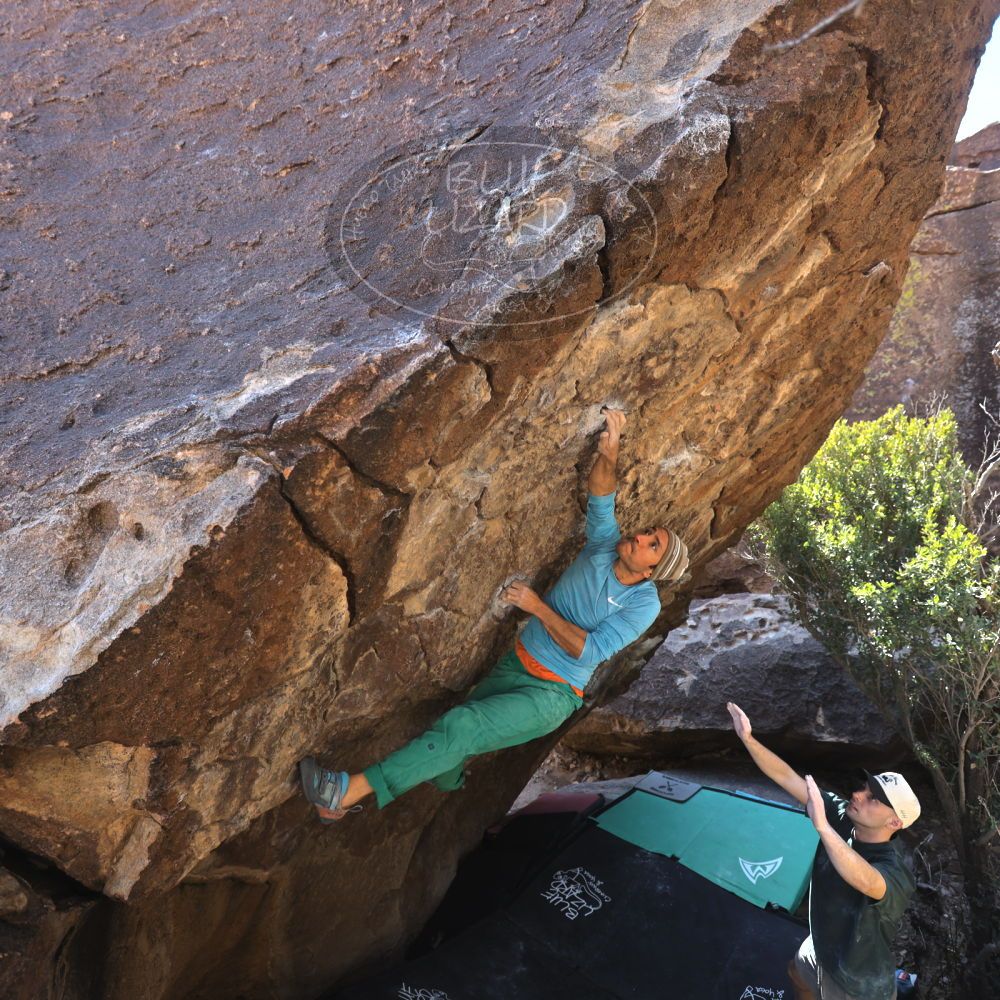 Filename: SRM_20240128_1210030.jpg
Aperture: f/4.0
Shutter Speed: 1/200
Body: Canon EOS R6
Lens: Canon EF 16-35mm f/2.8 L