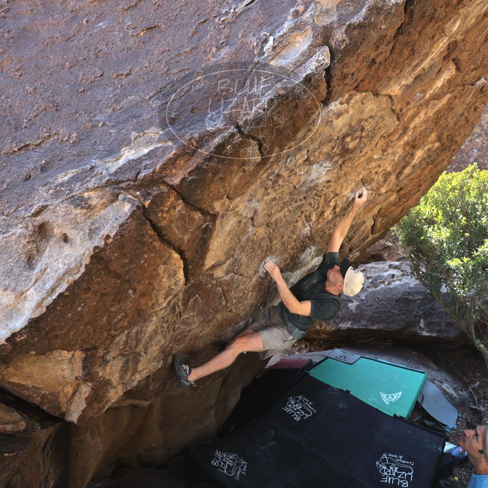 

Filename: SRM_20240128_1210500.jpg
Aperture: f/4.0
Shutter Speed: 1/200
Body: Canon EOS R6
Lens: Canon EF 16-35mm f/2.8 L