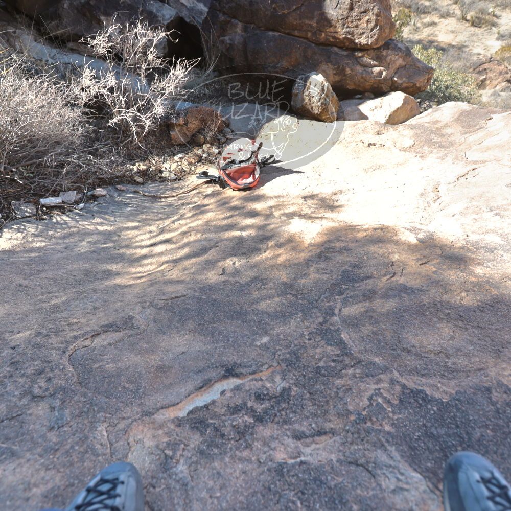 Filename: SRM_20240128_1309180.jpg
Aperture: f/4.0
Shutter Speed: 1/200
Body: Canon EOS R6
Lens: Canon EF 16-35mm f/2.8 L