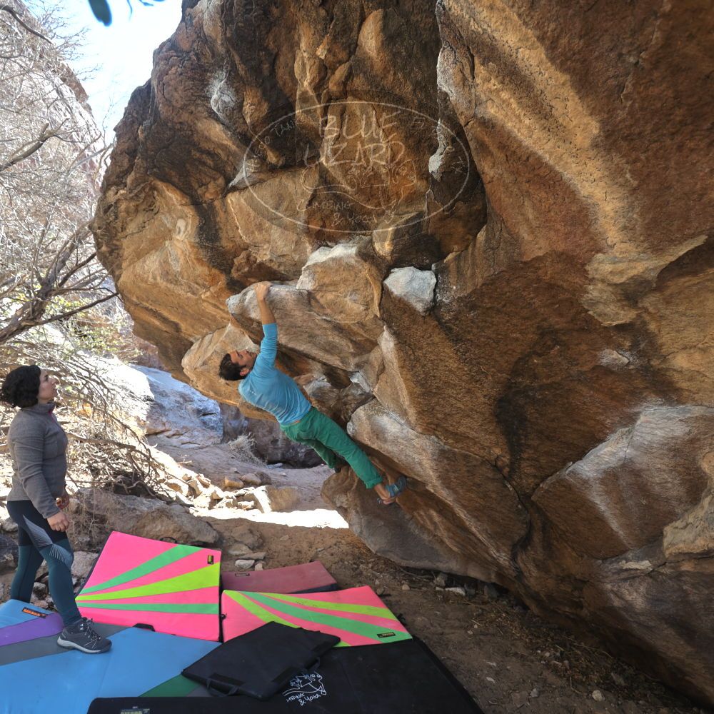 

Filename: SRM_20240128_1311430.jpg
Aperture: f/4.0
Shutter Speed: 1/320
Body: Canon EOS R6
Lens: Canon EF 16-35mm f/2.8 L