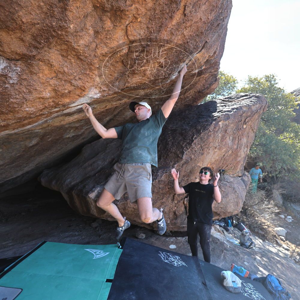 Filename: SRM_20240128_1313373.jpg
Aperture: f/4.0
Shutter Speed: 1/400
Body: Canon EOS R6
Lens: Canon EF 16-35mm f/2.8 L