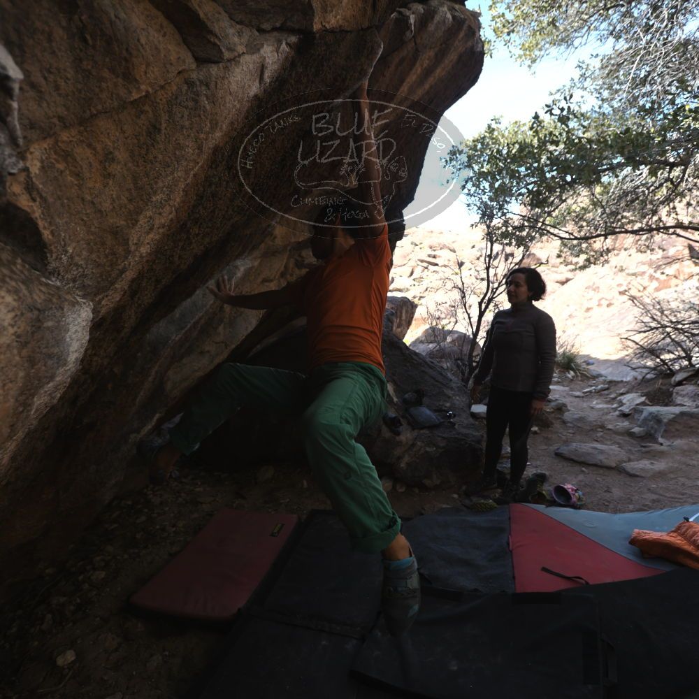 Filename: SRM_20240128_1406063.jpg
Aperture: f/4.0
Shutter Speed: 1/500
Body: Canon EOS R6
Lens: Canon EF 16-35mm f/2.8 L