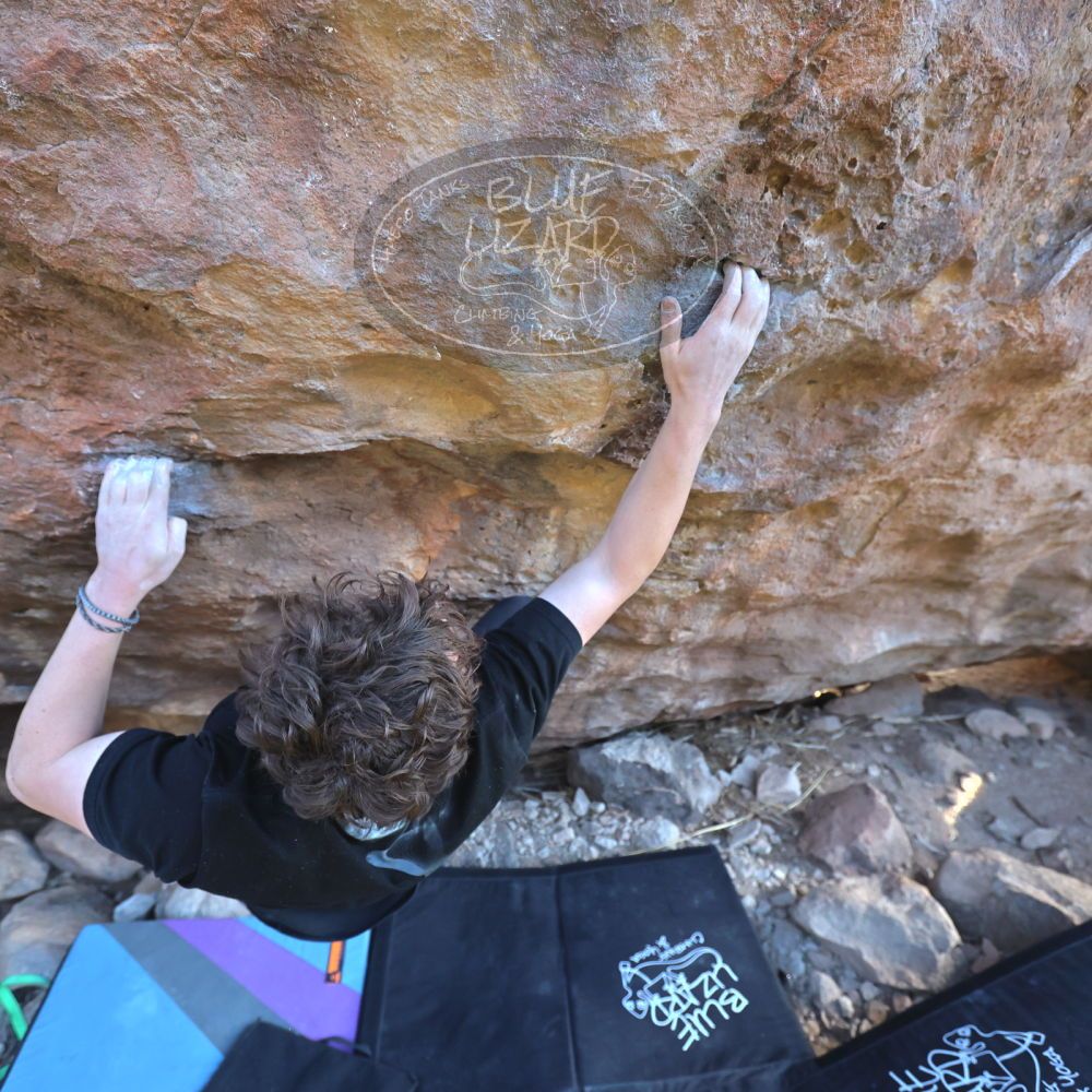 

Filename: SRM_20240128_1514200.jpg
Aperture: f/4.0
Shutter Speed: 1/500
Body: Canon EOS R6
Lens: Canon EF 16-35mm f/2.8 L