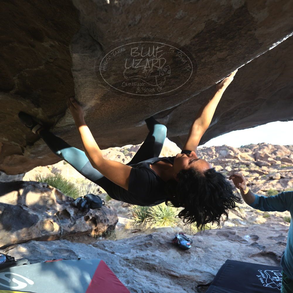 

Filename: SRM_20240128_1624520.jpg
Aperture: f/4.0
Shutter Speed: 1/500
Body: Canon EOS R6
Lens: Canon EF 16-35mm f/2.8 L