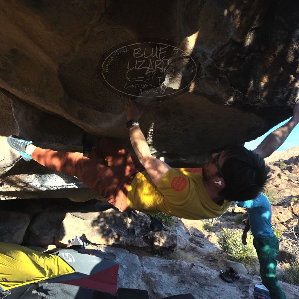 

Filename: SRM_20240128_1636290.jpg
Aperture: f/5.6
Shutter Speed: 1/1000
Body: Canon EOS R6
Lens: Canon EF 16-35mm f/2.8 L