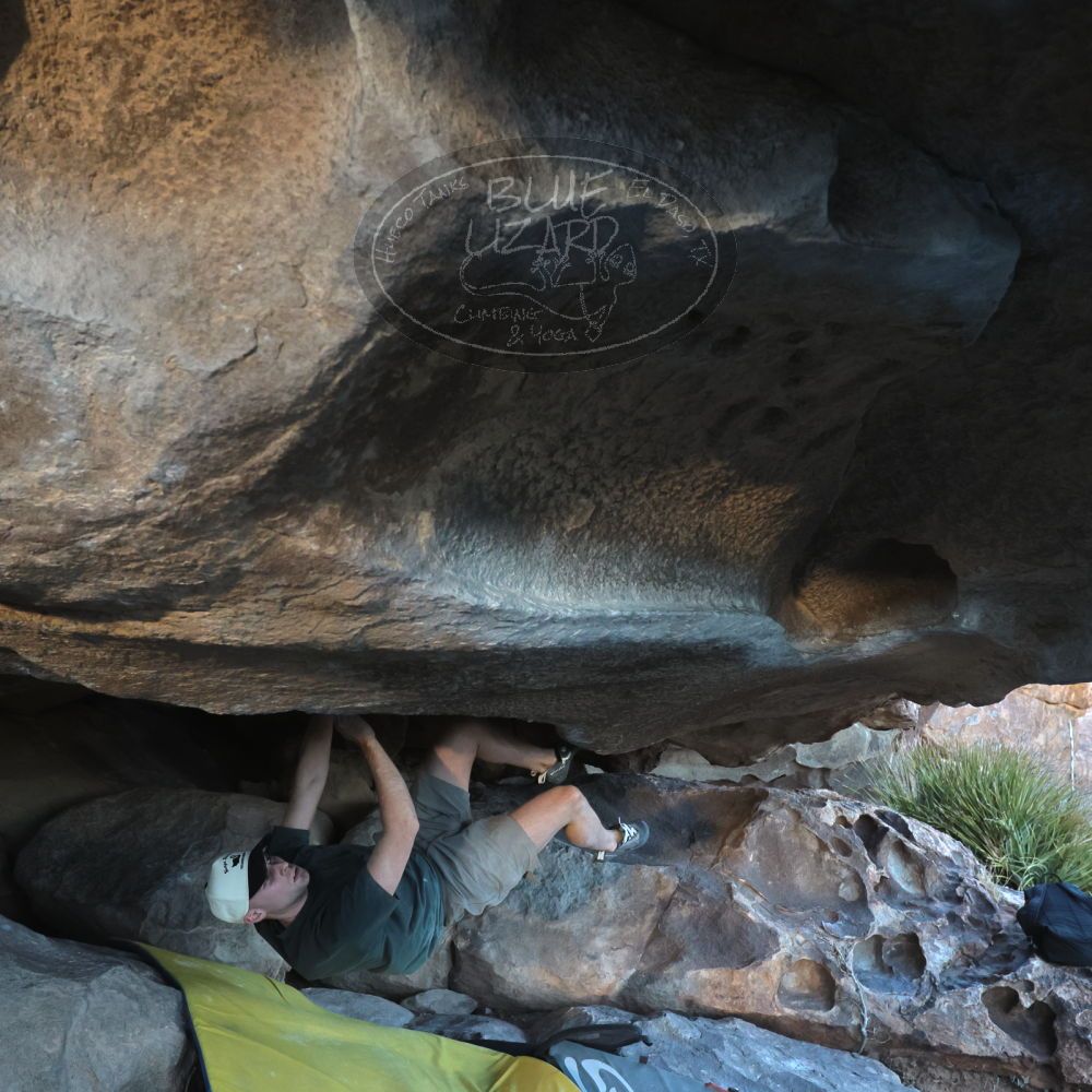 

Filename: SRM_20240128_1656330.jpg
Aperture: f/5.6
Shutter Speed: 1/1000
Body: Canon EOS R6
Lens: Canon EF 16-35mm f/2.8 L