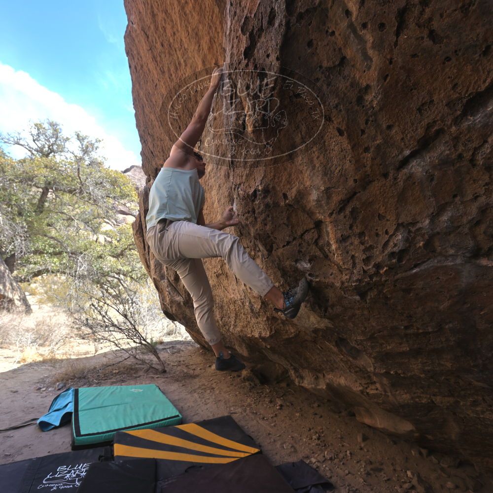 

Filename: SRM_20240225_1145440.jpg
Aperture: f/5.6
Shutter Speed: 1/500
Body: Canon EOS R6
Lens: Canon EF 16-35mm f/2.8 L