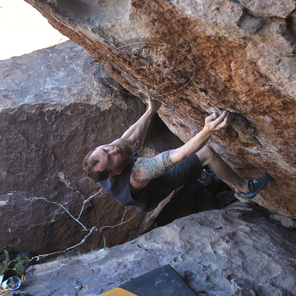 

Filename: SRM_20240225_1243420.jpg
Aperture: f/5.6
Shutter Speed: 1/500
Body: Canon EOS R6
Lens: Canon EF 16-35mm f/2.8 L