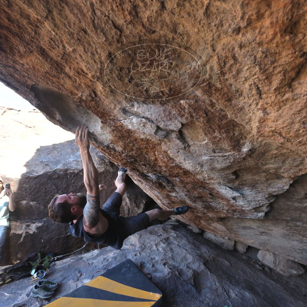 

Filename: SRM_20240225_1243580.jpg
Aperture: f/5.6
Shutter Speed: 1/500
Body: Canon EOS R6
Lens: Canon EF 16-35mm f/2.8 L