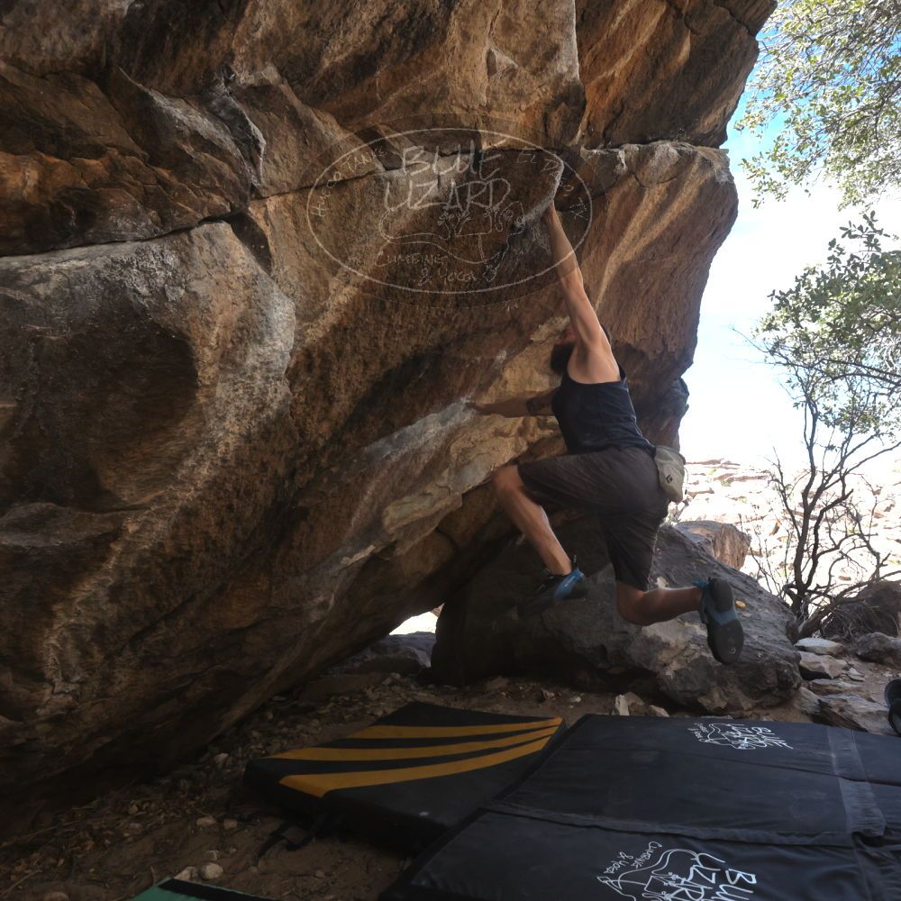 

Filename: SRM_20240225_1349564.jpg
Aperture: f/9.0
Shutter Speed: 1/500
Body: Canon EOS R6
Lens: Canon EF 16-35mm f/2.8 L