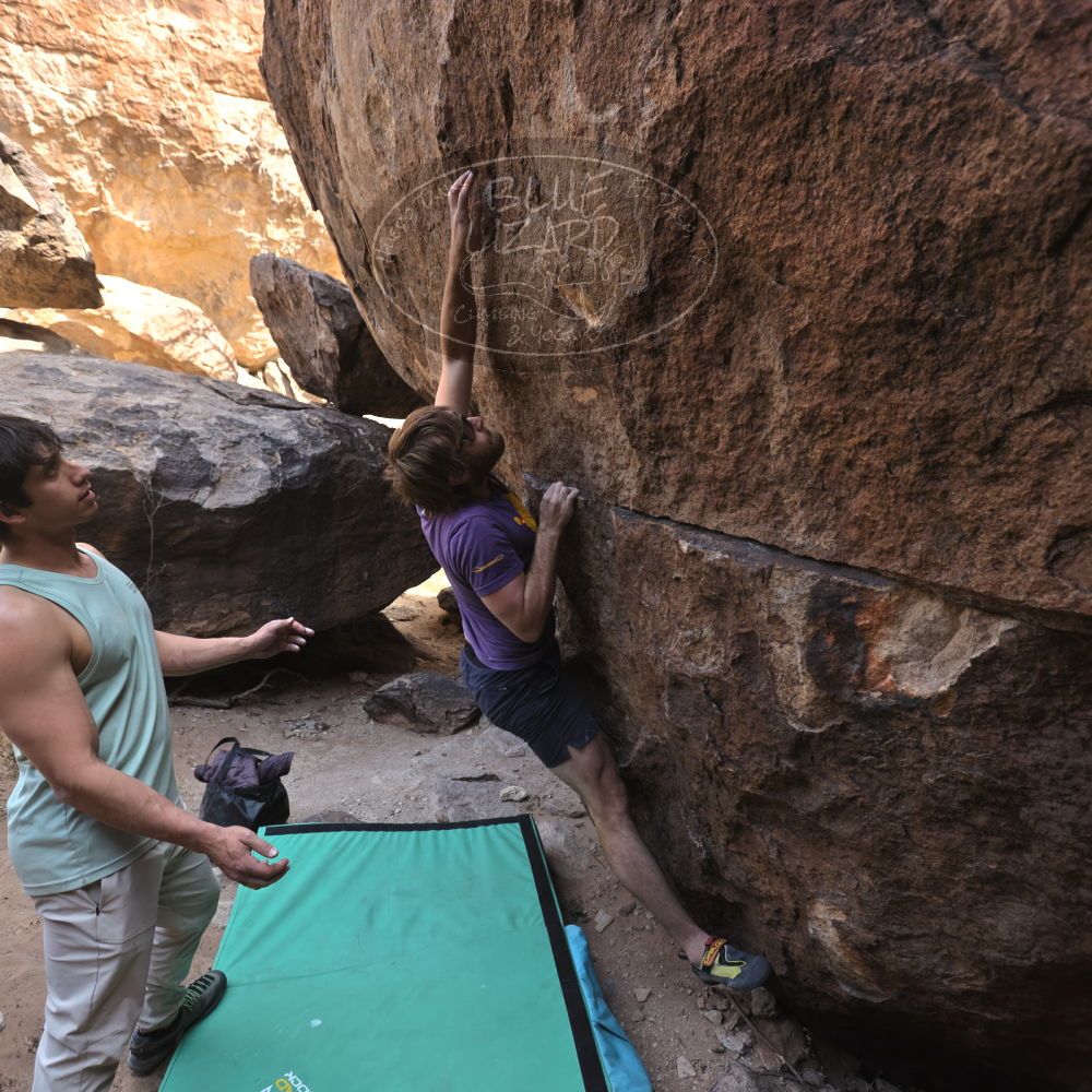 

Filename: SRM_20240225_1459510.jpg
Aperture: f/4.0
Shutter Speed: 1/400
Body: Canon EOS R6
Lens: Canon EF 16-35mm f/2.8 L