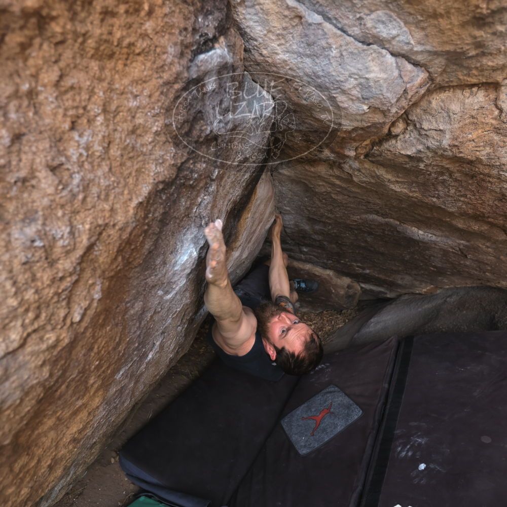 

Filename: SRM_20240225_1543270.jpg
Aperture: f/4.0
Shutter Speed: 1/400
Body: Canon EOS R6
Lens: Canon EF 16-35mm f/2.8 L