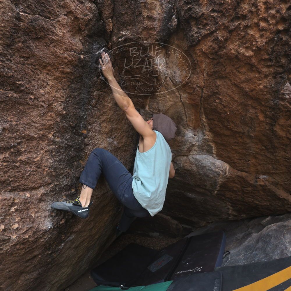 

Filename: SRM_20240225_1544410.jpg
Aperture: f/4.0
Shutter Speed: 1/400
Body: Canon EOS R6
Lens: Canon EF 16-35mm f/2.8 L