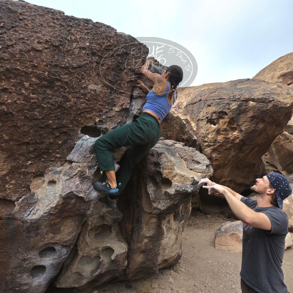 

Filename: SRM_20240226_0940500.jpg
Aperture: f/8.0
Shutter Speed: 1/640
Body: Canon EOS R6
Lens: Canon EF 16-35mm f/2.8 L