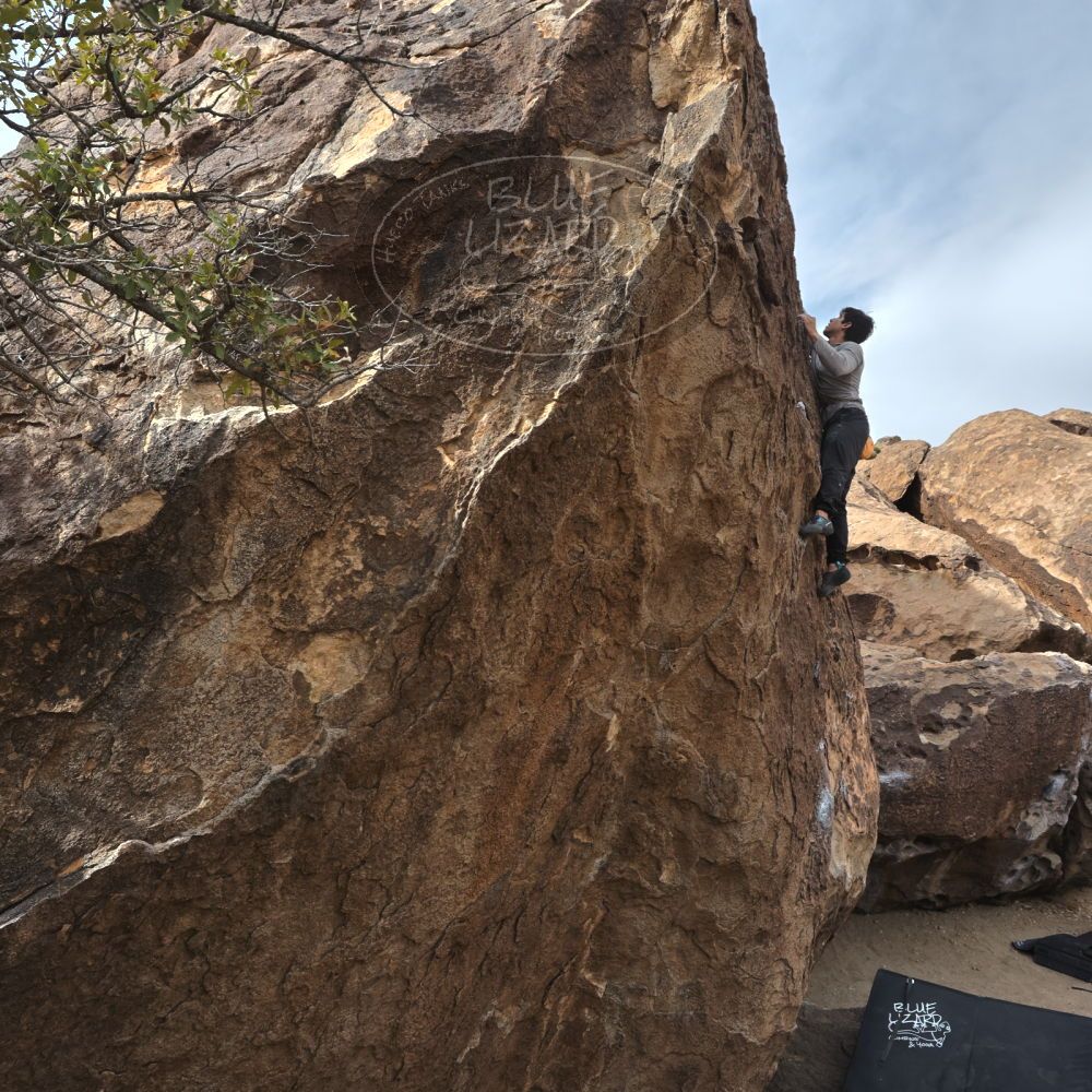 

Filename: SRM_20240226_1003180.jpg
Aperture: f/8.0
Shutter Speed: 1/640
Body: Canon EOS R6
Lens: Canon EF 16-35mm f/2.8 L