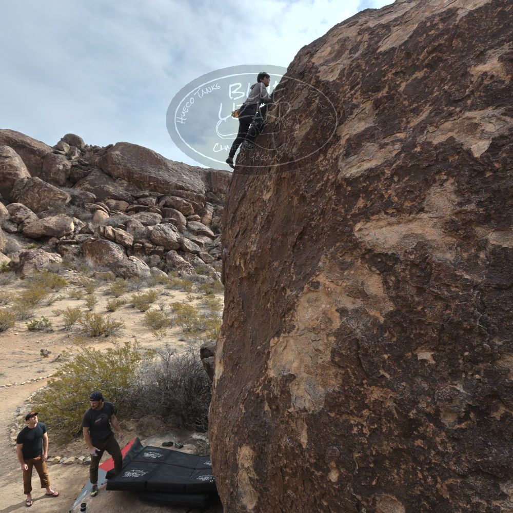 

Filename: SRM_20240226_1004320.jpg
Aperture: f/8.0
Shutter Speed: 1/640
Body: Canon EOS R6
Lens: Canon EF 16-35mm f/2.8 L