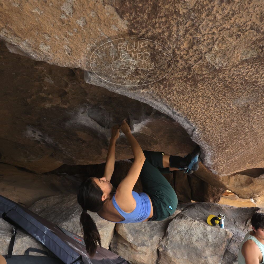 

Filename: SRM_20240226_1347020.jpg
Aperture: f/8.0
Shutter Speed: 1/640
Body: Canon EOS R6
Lens: Canon EF 16-35mm f/2.8 L