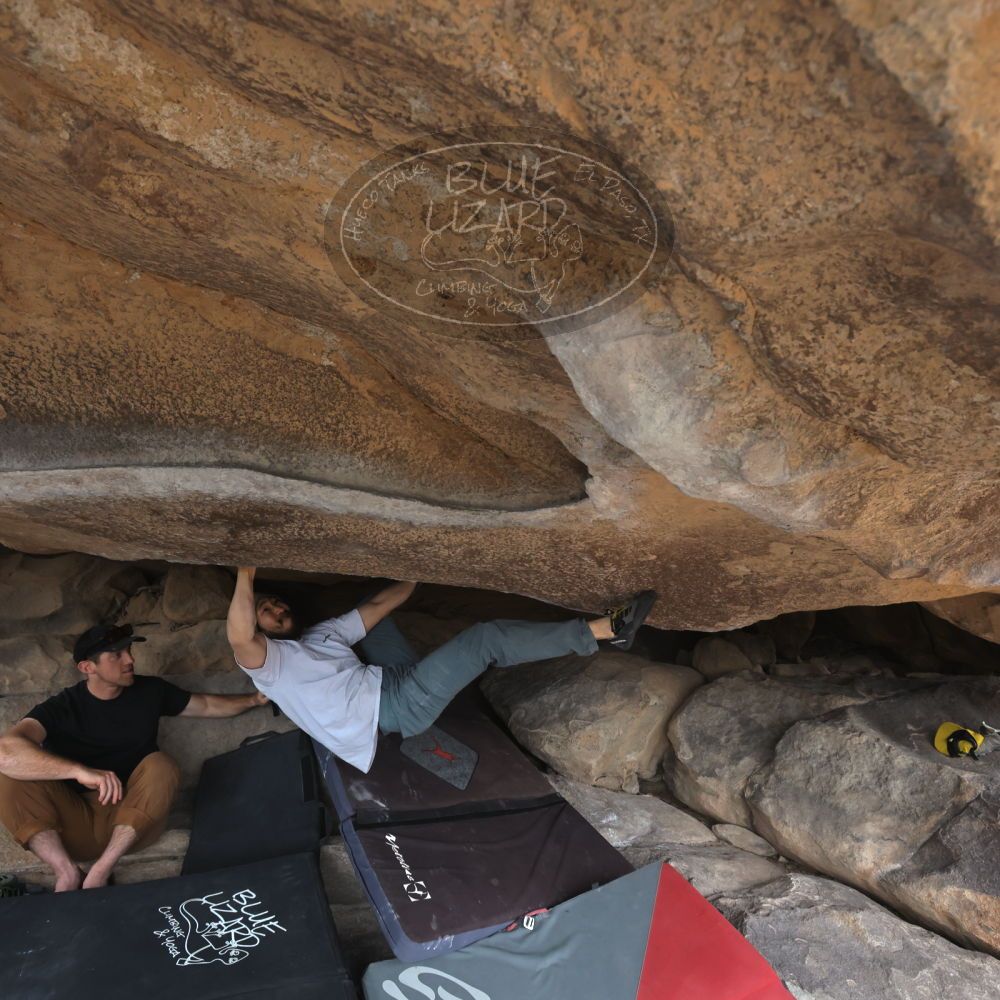 

Filename: SRM_20240226_1352180.jpg
Aperture: f/8.0
Shutter Speed: 1/640
Body: Canon EOS R6
Lens: Canon EF 16-35mm f/2.8 L