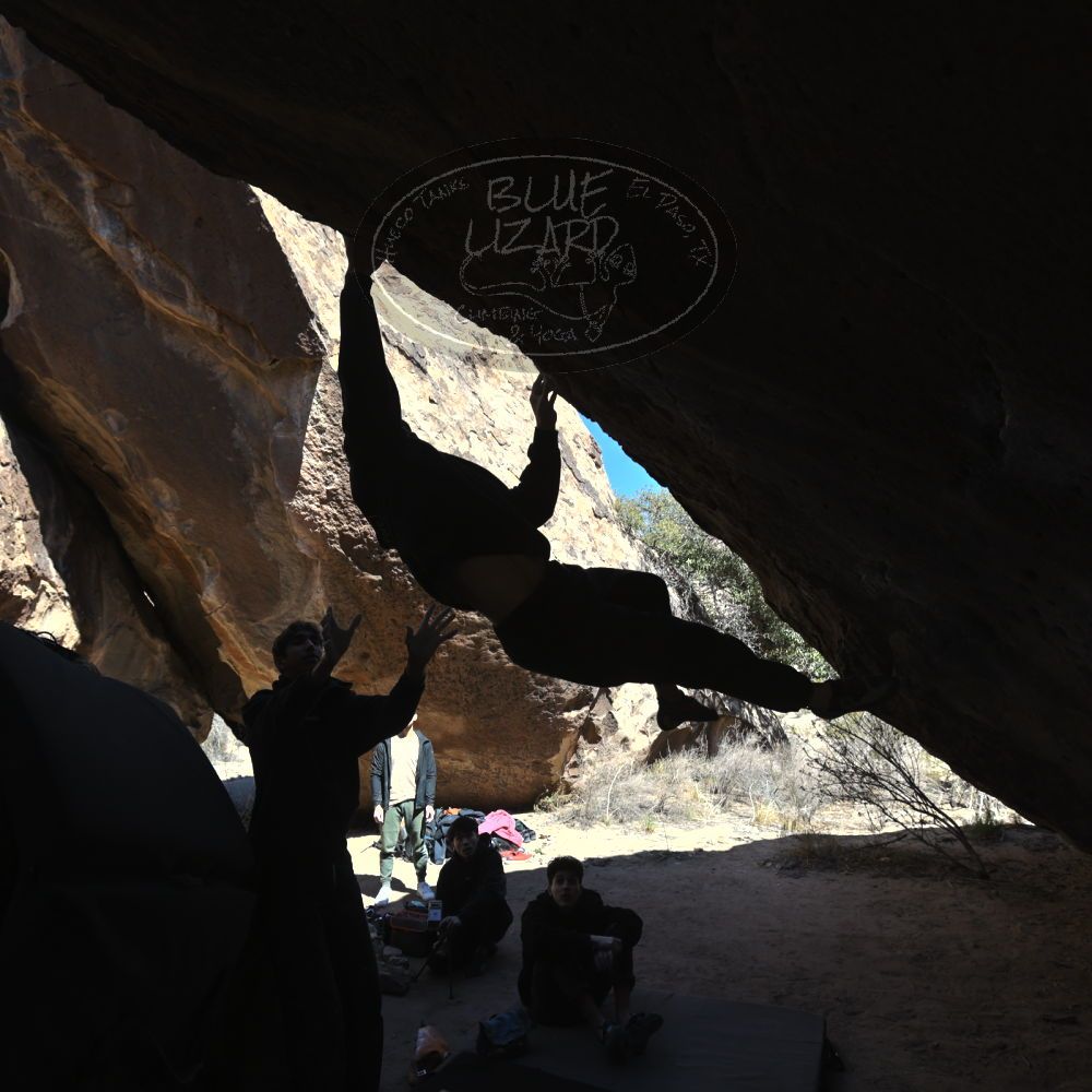 

Filename: SRM_20240309_1202530.jpg
Aperture: f/5.6
Shutter Speed: 1/500
Body: Canon EOS R6
Lens: Canon EF 16-35mm f/2.8 L