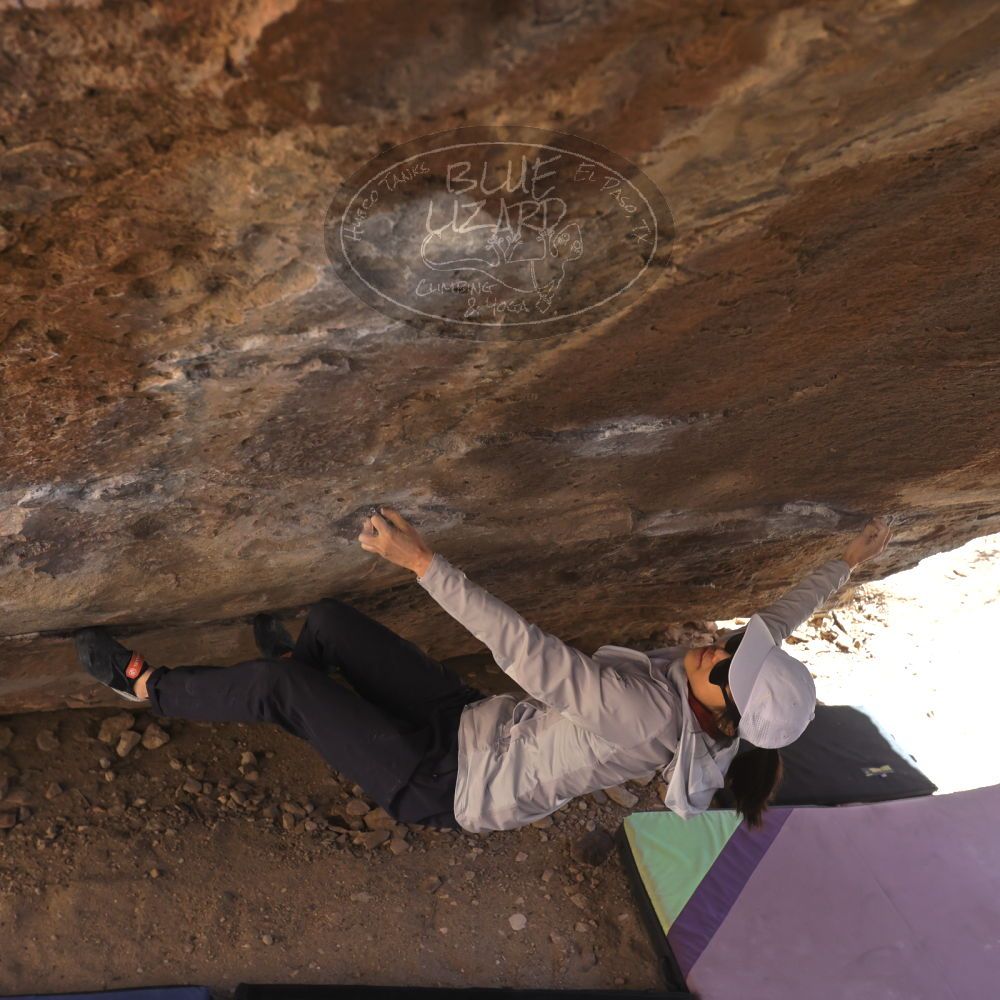 

Filename: SRM_20240309_1206370.jpg
Aperture: f/5.6
Shutter Speed: 1/500
Body: Canon EOS R6
Lens: Canon EF 16-35mm f/2.8 L