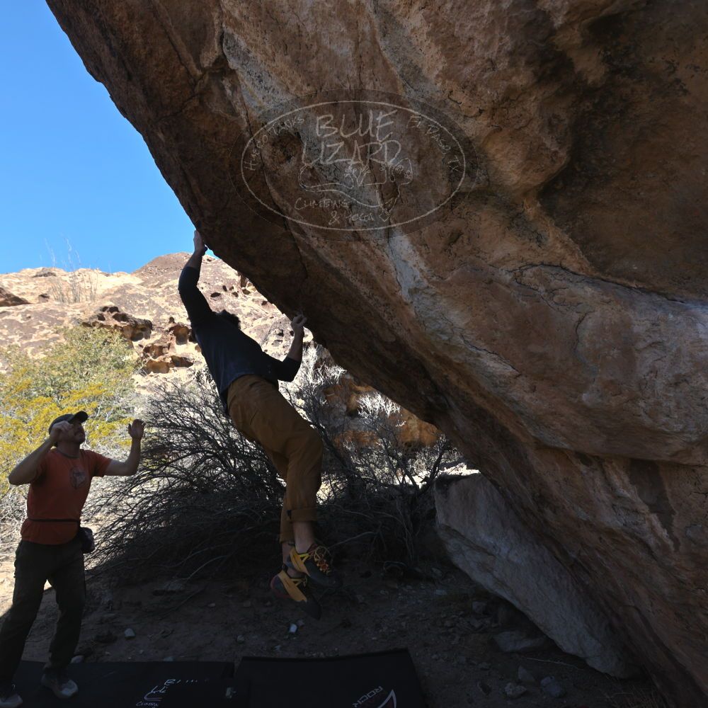 

Filename: SRM_20240310_1049061.jpg
Aperture: f/5.6
Shutter Speed: 1/500
Body: Canon EOS R6
Lens: Canon EF 16-35mm f/2.8 L