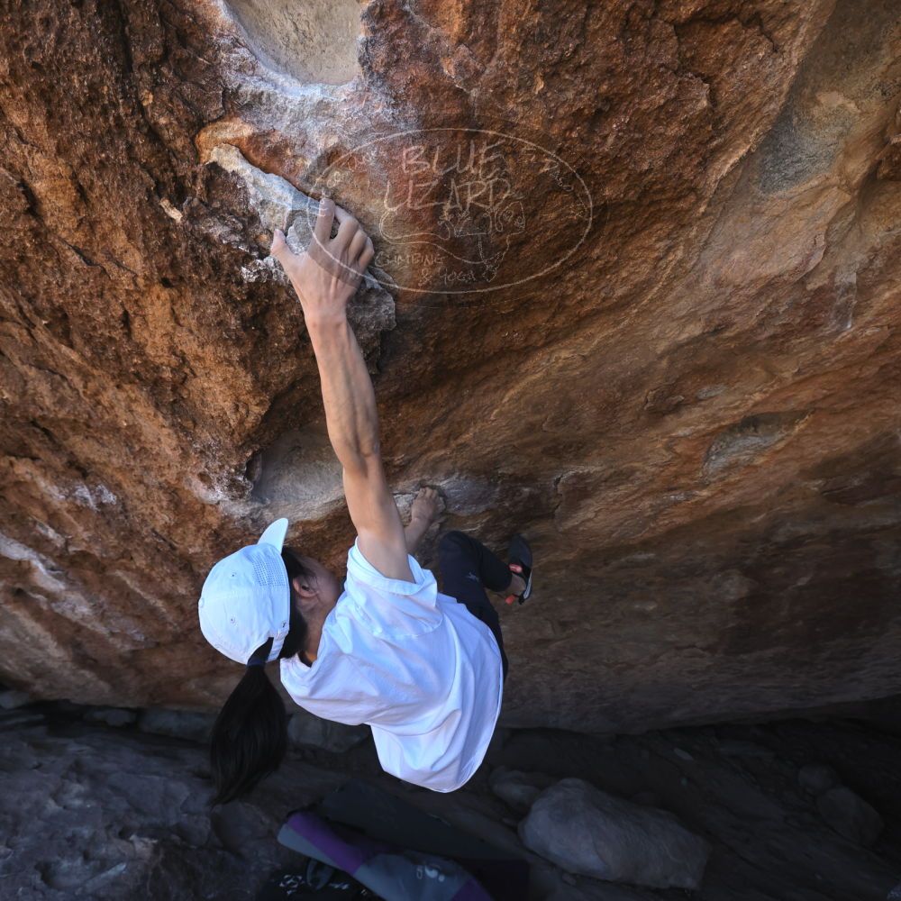 

Filename: SRM_20240312_1140212.jpg
Aperture: f/5.6
Shutter Speed: 1/800
Body: Canon EOS R6
Lens: Canon EF 16-35mm f/2.8 L