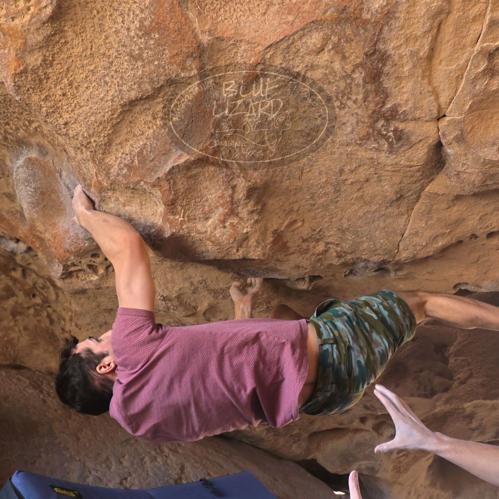 

Filename: SRM_20240312_1253111.jpg
Aperture: f/5.6
Shutter Speed: 1/500
Body: Canon EOS R6
Lens: Canon EF 16-35mm f/2.8 L