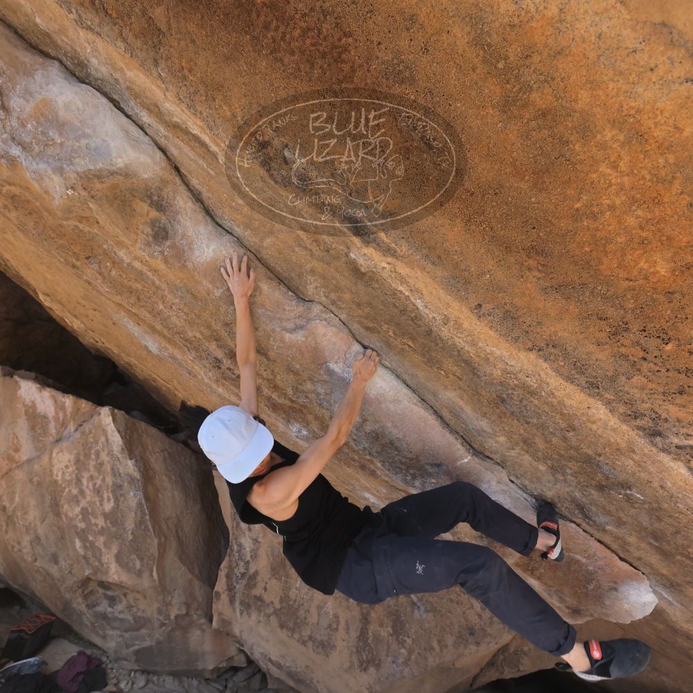 

Filename: SRM_20240312_1532100.jpg
Aperture: f/5.6
Shutter Speed: 1/1000
Body: Canon EOS R6
Lens: Canon EF 16-35mm f/2.8 L