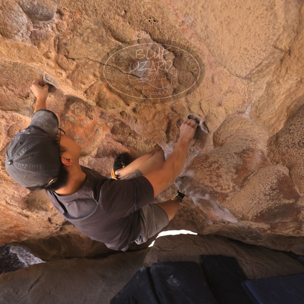 

Filename: SRM_20240312_1335270.jpg
Aperture: f/4.0
Shutter Speed: 1/500
Body: Canon EOS R6
Lens: Canon EF 16-35mm f/2.8 L