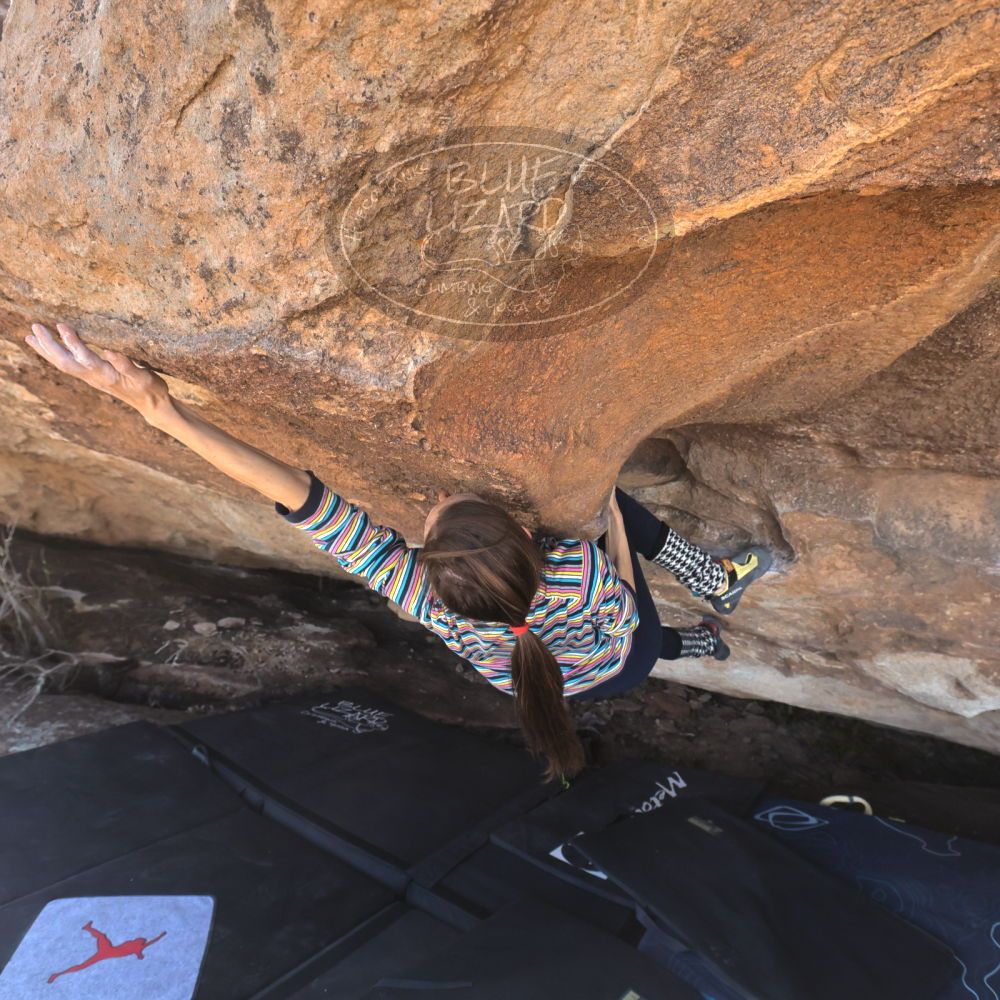 

Filename: SRM_20240317_1029361.jpg
Aperture: f/6.3
Shutter Speed: 1/1000
Body: Canon EOS R6
Lens: Canon EF 16-35mm f/2.8 L