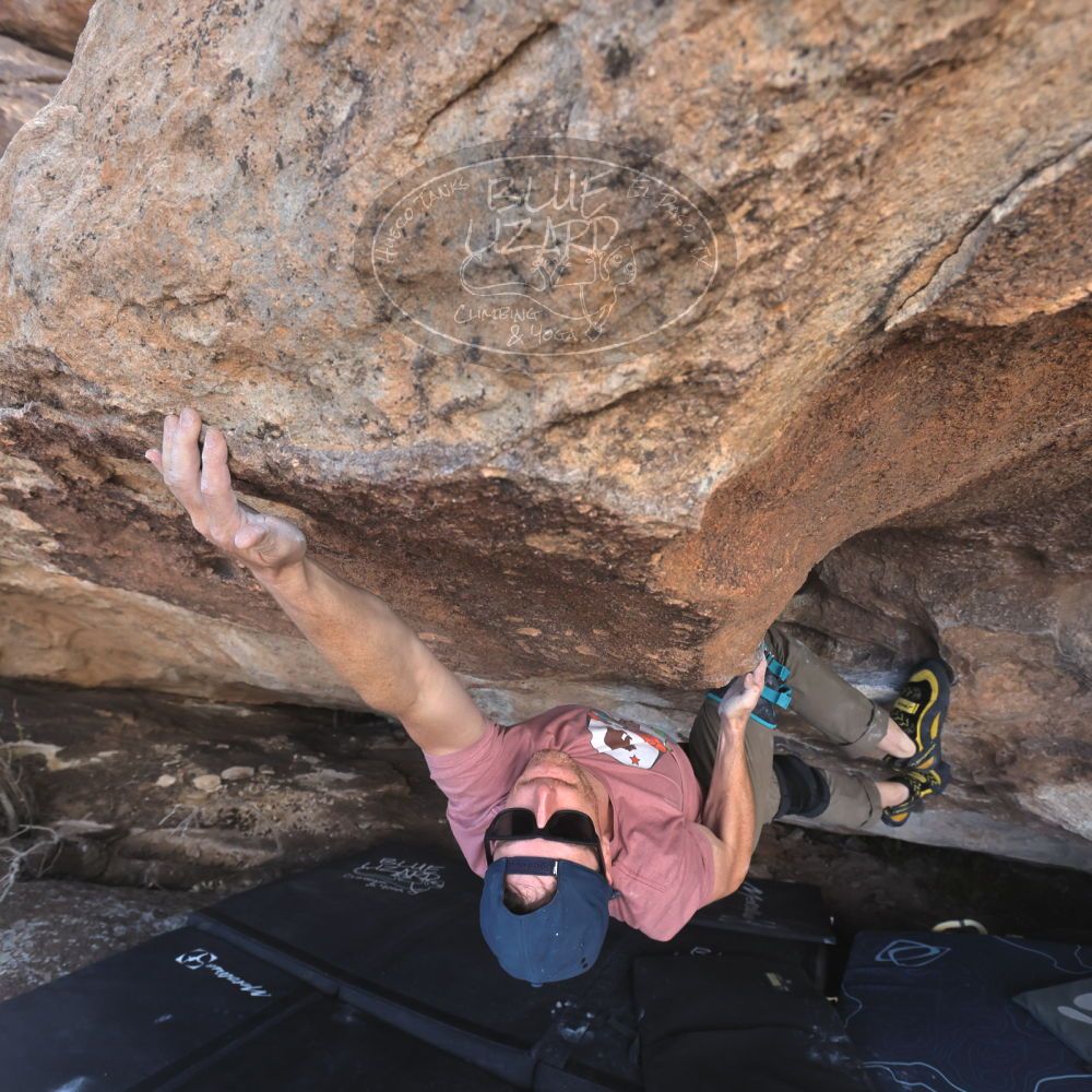 

Filename: SRM_20240317_1057410.jpg
Aperture: f/5.6
Shutter Speed: 1/800
Body: Canon EOS R6
Lens: Canon EF 16-35mm f/2.8 L