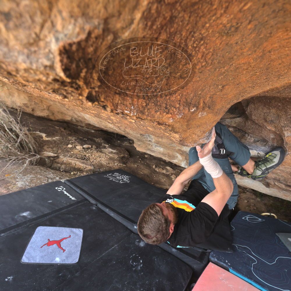 

Filename: SRM_20240317_1118520.jpg
Aperture: f/5.6
Shutter Speed: 1/800
Body: Canon EOS R6
Lens: Canon EF 16-35mm f/2.8 L