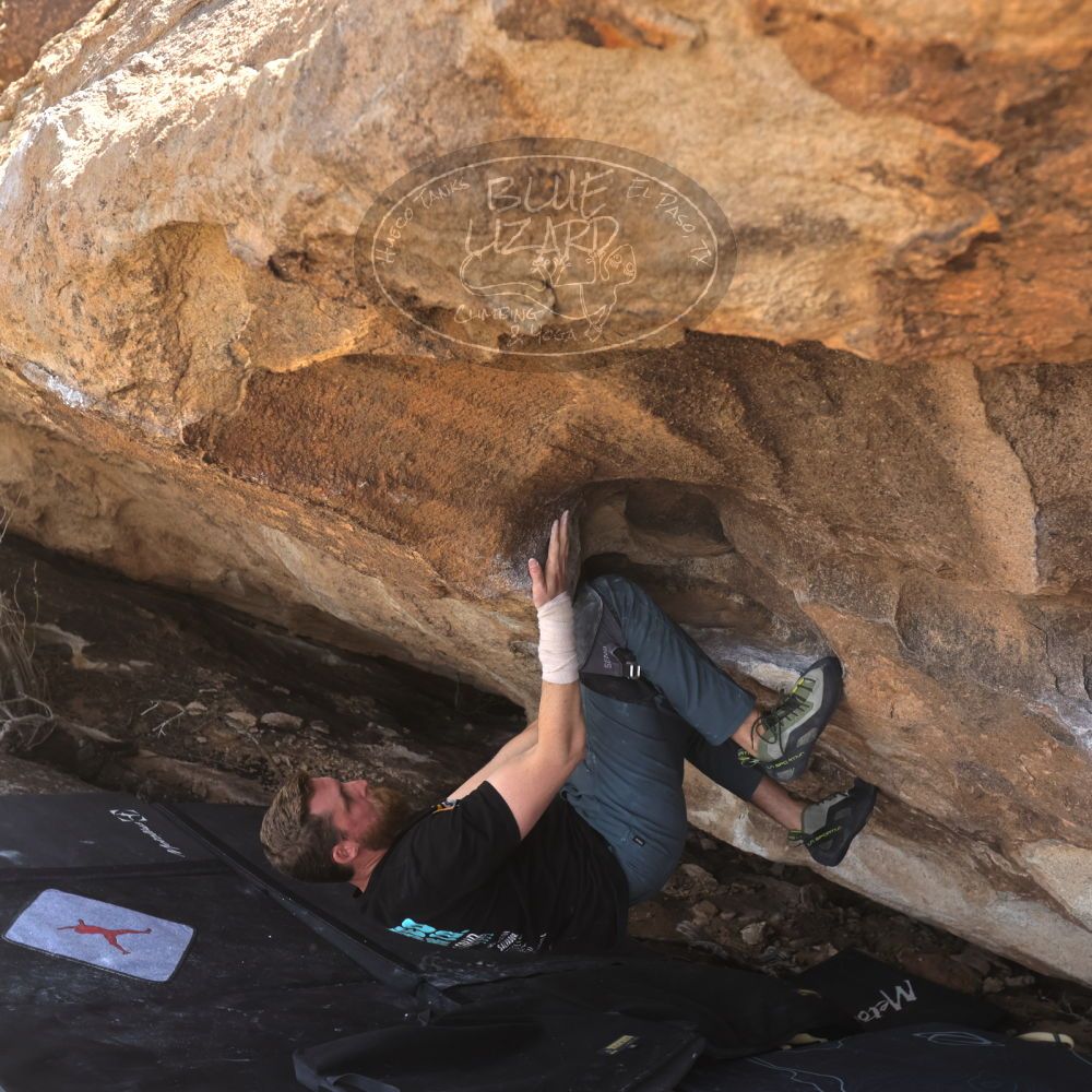 

Filename: SRM_20240317_1148330.jpg
Aperture: f/5.6
Shutter Speed: 1/800
Body: Canon EOS R6
Lens: Canon EF 16-35mm f/2.8 L