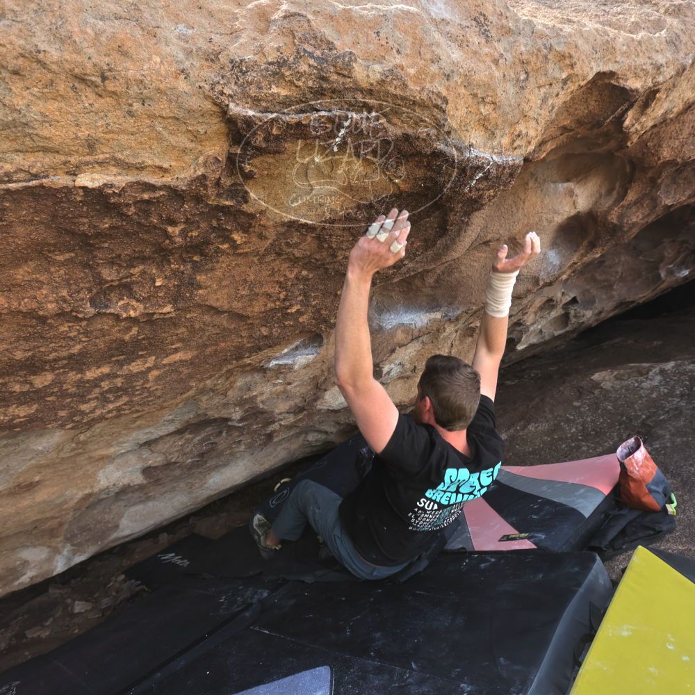 

Filename: SRM_20240317_1148480.jpg
Aperture: f/5.6
Shutter Speed: 1/800
Body: Canon EOS R6
Lens: Canon EF 16-35mm f/2.8 L