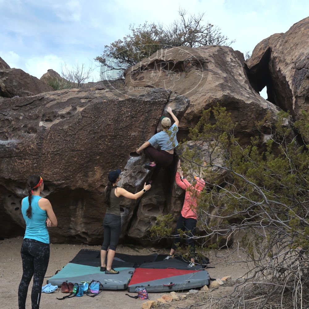 

Filename: SRM_20240330_0837260.jpg
Aperture: f/5.6
Shutter Speed: 1/800
Body: Canon EOS R6
Lens: Canon EF 16-35mm f/2.8 L