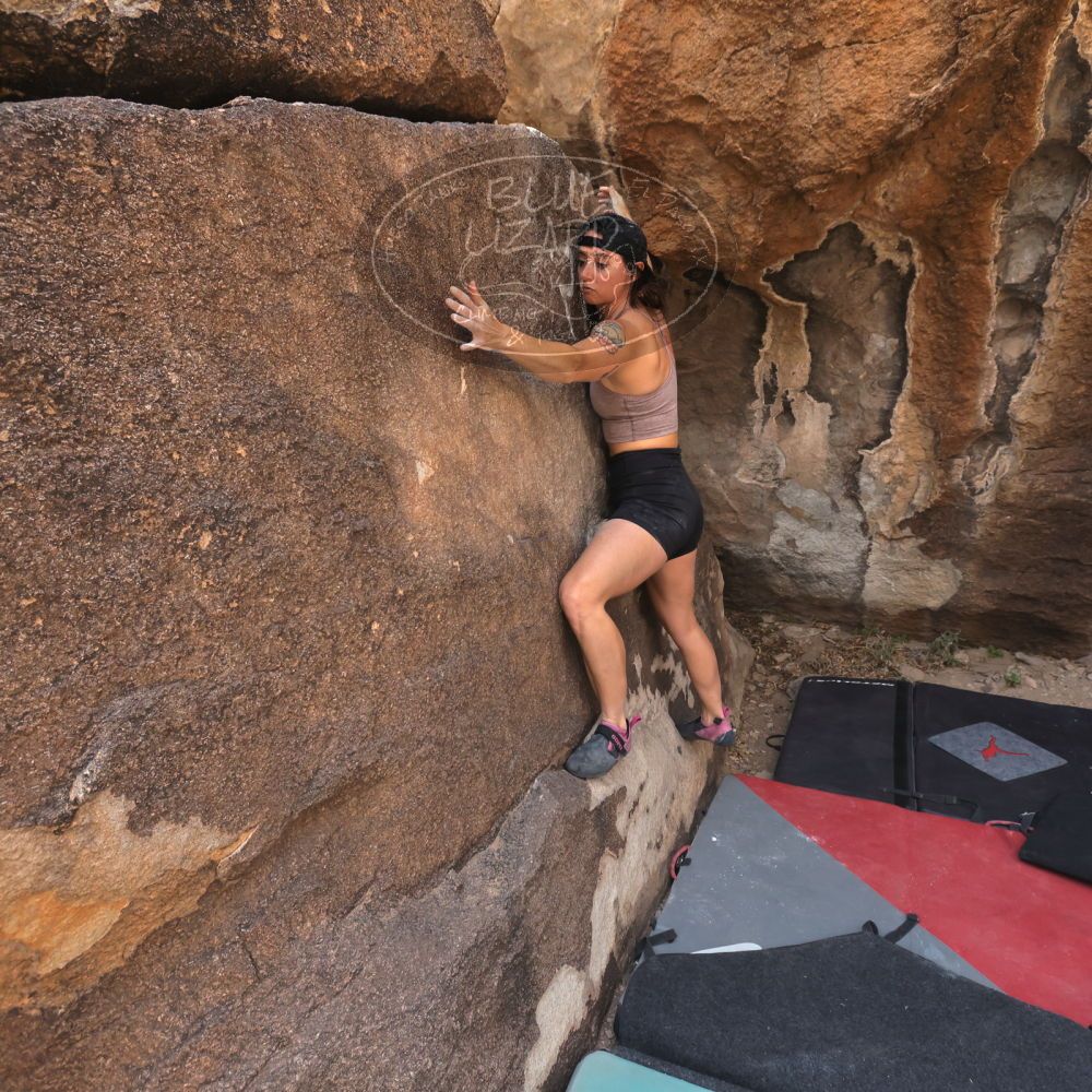 

Filename: SRM_20240330_0959180.jpg
Aperture: f/5.6
Shutter Speed: 1/500
Body: Canon EOS R6
Lens: Canon EF 16-35mm f/2.8 L