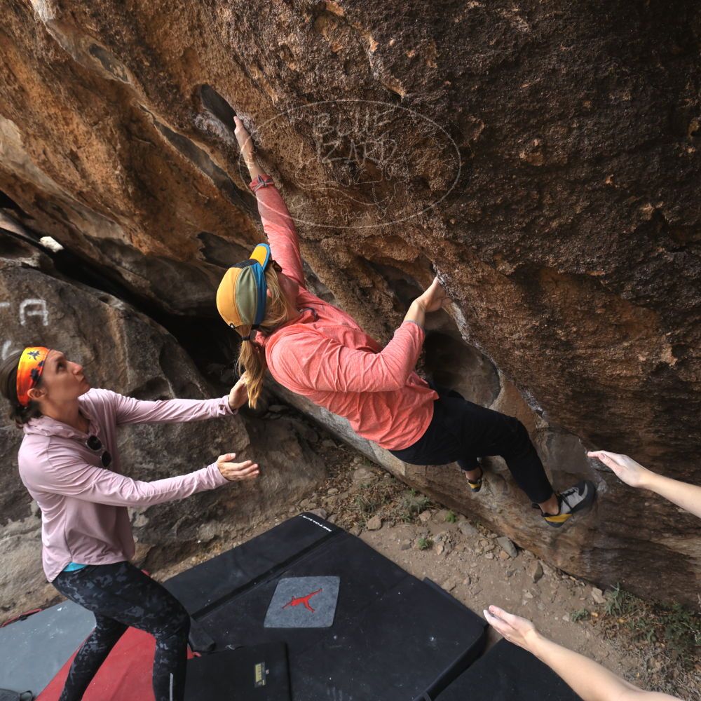 

Filename: SRM_20240330_1016410.jpg
Aperture: f/5.6
Shutter Speed: 1/500
Body: Canon EOS R6
Lens: Canon EF 16-35mm f/2.8 L