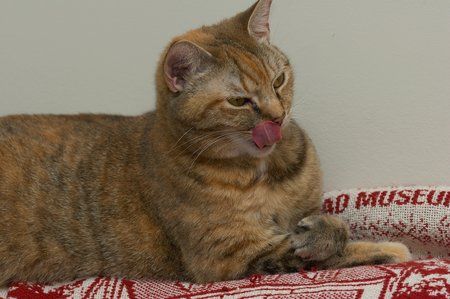 1020409145

Filename: SRM_20050703_190948_2.jpg
Aperture: f/6.3
Shutter Speed: 1/250
Body: Canon EOS 20D
Lens: Canon EF 80-200mm f/2.8 L