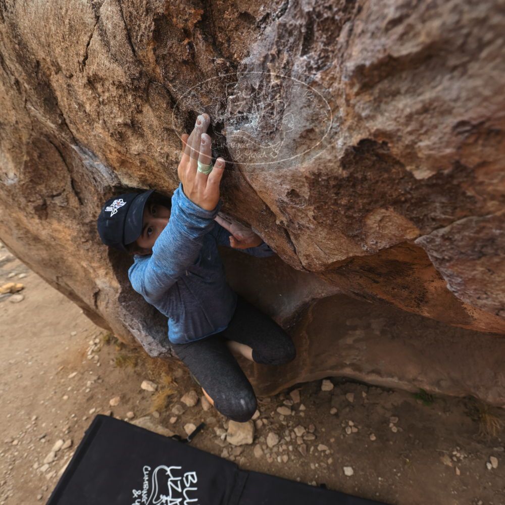 

Filename: SRM_20240330_1129470.jpg
Aperture: f/5.6
Shutter Speed: 1/500
Body: Canon EOS R6
Lens: Canon EF 16-35mm f/2.8 L