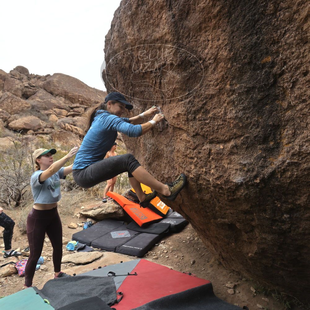 

Filename: SRM_20240330_1144450.jpg
Aperture: f/5.6
Shutter Speed: 1/500
Body: Canon EOS R6
Lens: Canon EF 16-35mm f/2.8 L