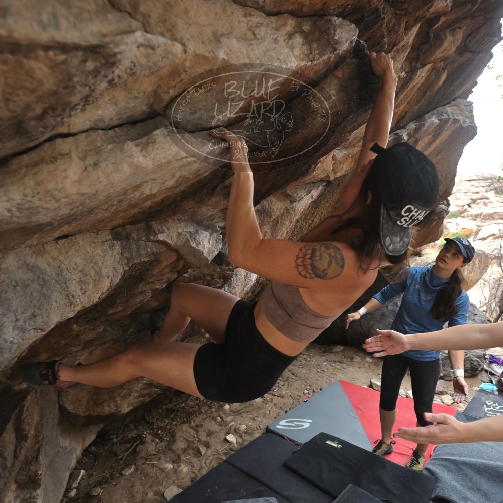 

Filename: SRM_20240330_1309260.jpg
Aperture: f/4.0
Shutter Speed: 1/500
Body: Canon EOS R6
Lens: Canon EF 16-35mm f/2.8 L