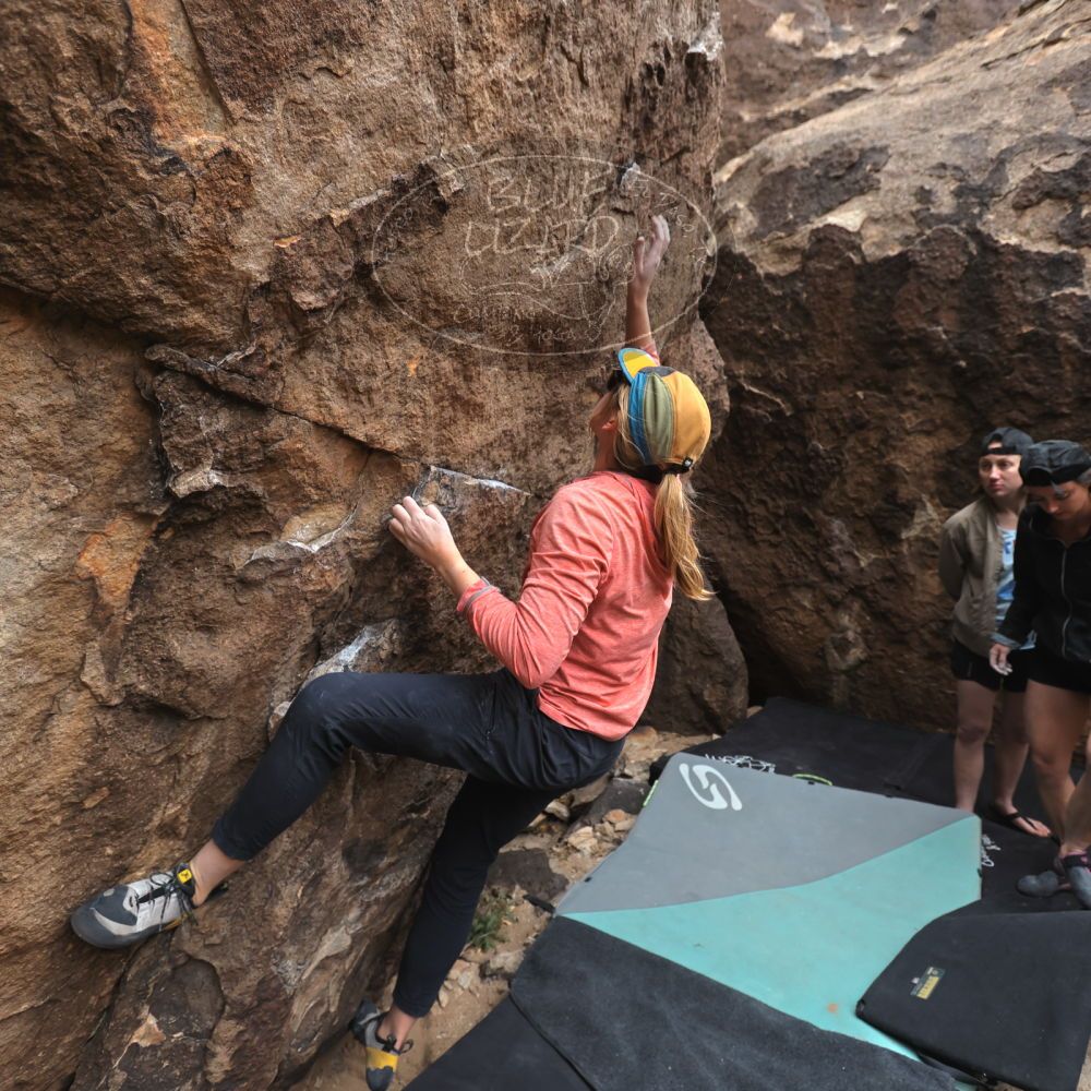 

Filename: SRM_20240330_1406360.jpg
Aperture: f/4.0
Shutter Speed: 1/500
Body: Canon EOS R6
Lens: Canon EF 16-35mm f/2.8 L