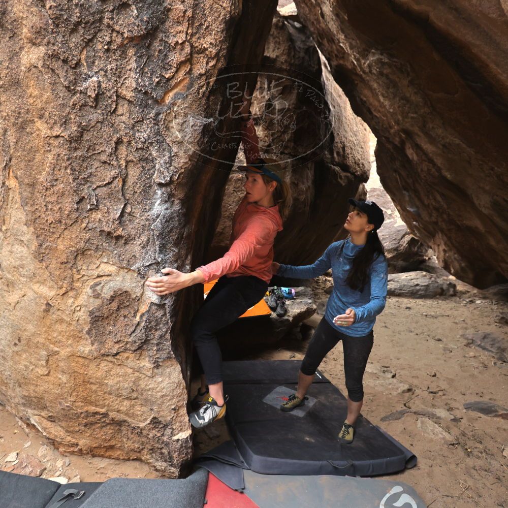 

Filename: SRM_20240330_1433490.jpg
Aperture: f/4.0
Shutter Speed: 1/500
Body: Canon EOS R6
Lens: Canon EF 16-35mm f/2.8 L