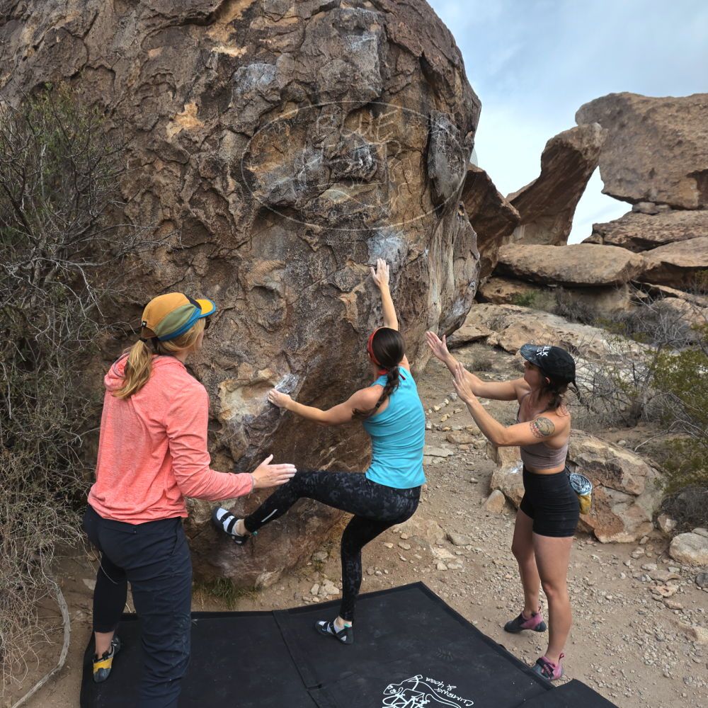 

Filename: SRM_20240330_0858010.jpg
Aperture: f/5.6
Shutter Speed: 1/800
Body: Canon EOS R6
Lens: Canon EF 16-35mm f/2.8 L