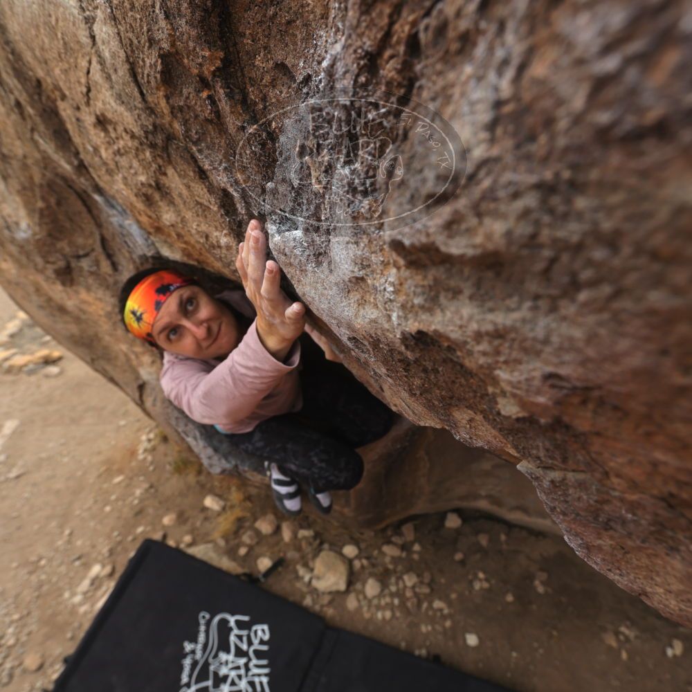 

Filename: SRM_20240330_1129050.jpg
Aperture: f/5.6
Shutter Speed: 1/500
Body: Canon EOS R6
Lens: Canon EF 16-35mm f/2.8 L