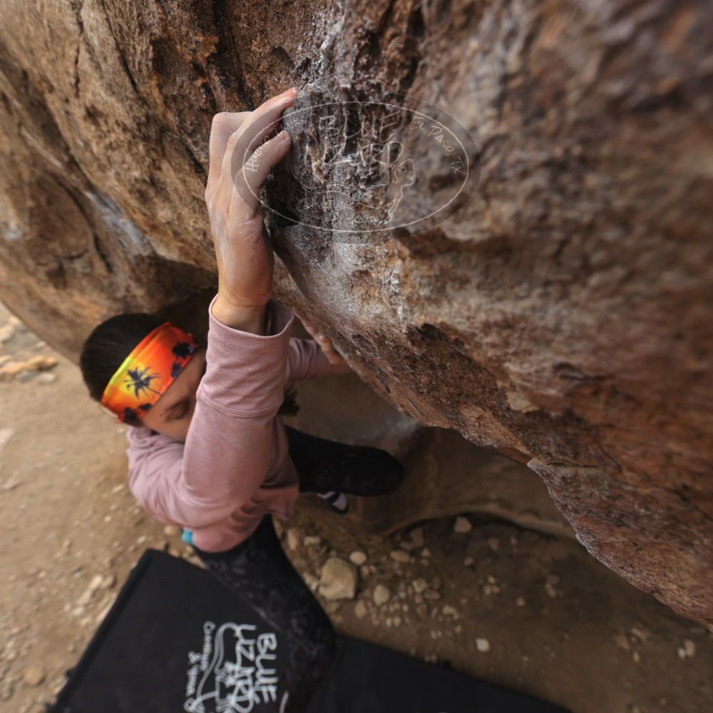 

Filename: SRM_20240330_1129051.jpg
Aperture: f/5.6
Shutter Speed: 1/500
Body: Canon EOS R6
Lens: Canon EF 16-35mm f/2.8 L